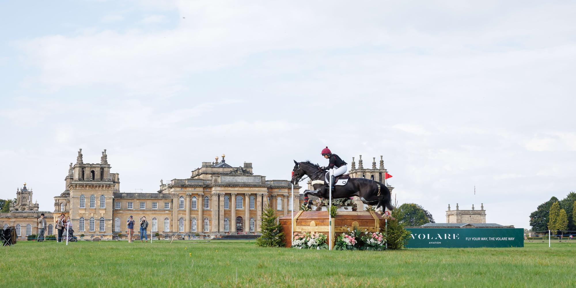 Horse and rider in front of palace