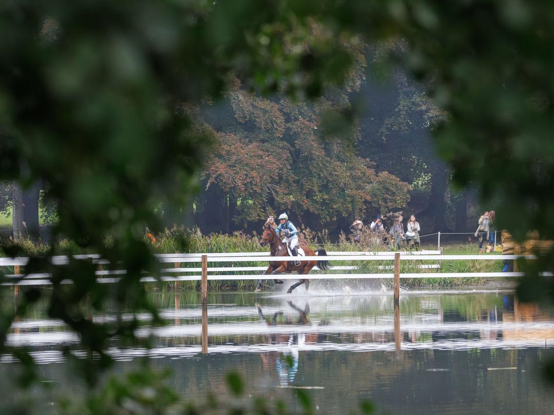 Horse and rider in water