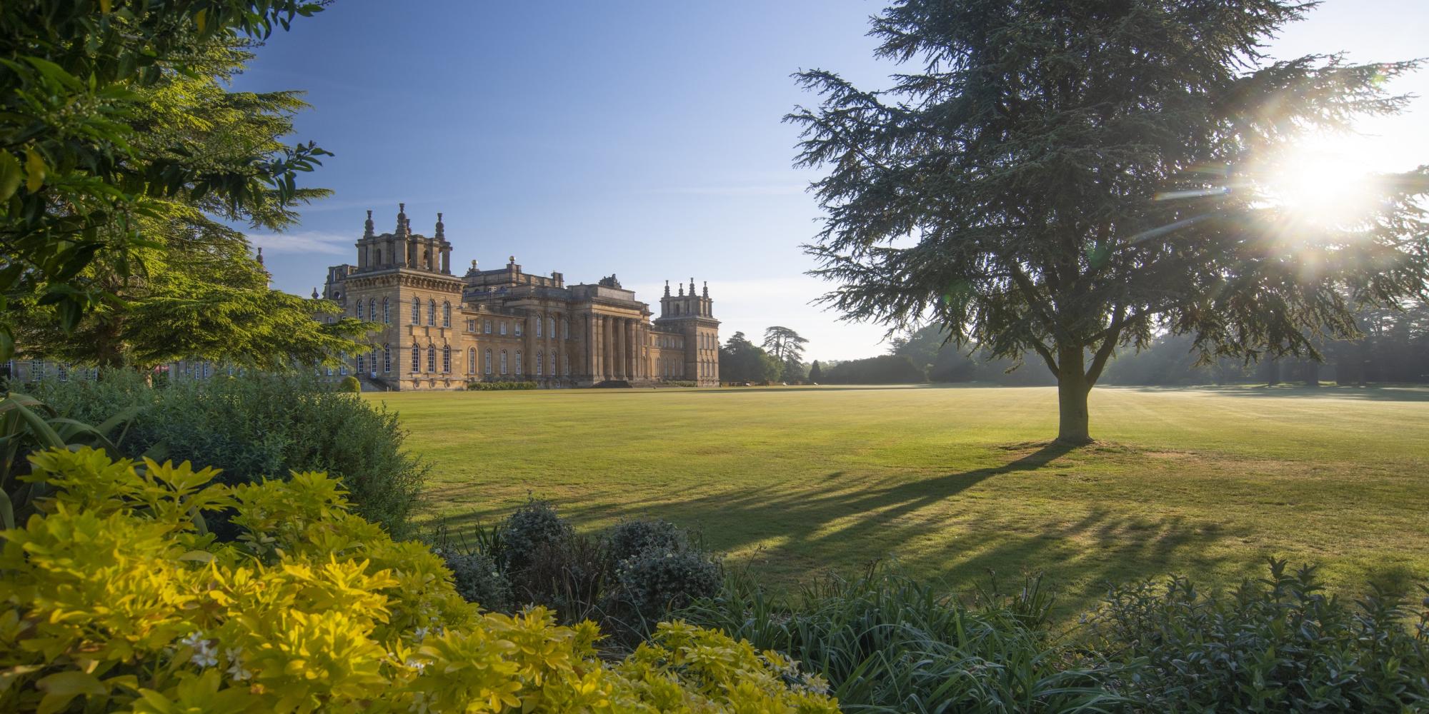 View of Palace in Sunshine