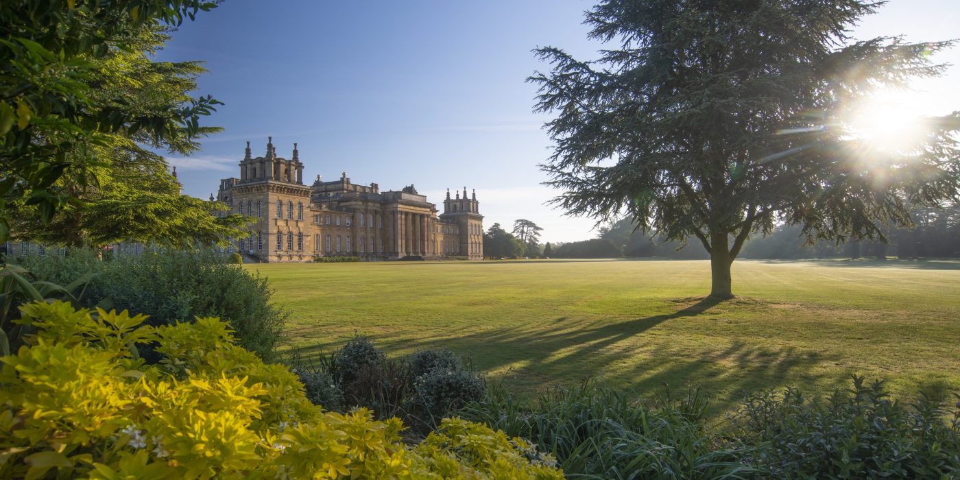 View of Palace in Sunshine