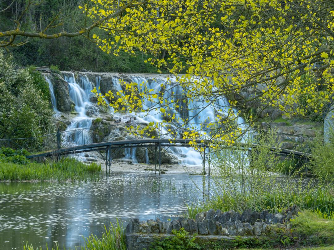 View of Cascades