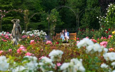 The Park and Gardens