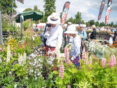 Blenheim Palace Flower Show