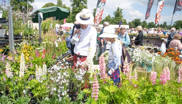 Visitors browsing plant stalls of lupins and roses at the flower show