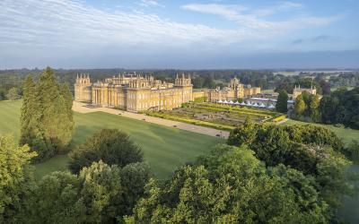 The Blenheim Story