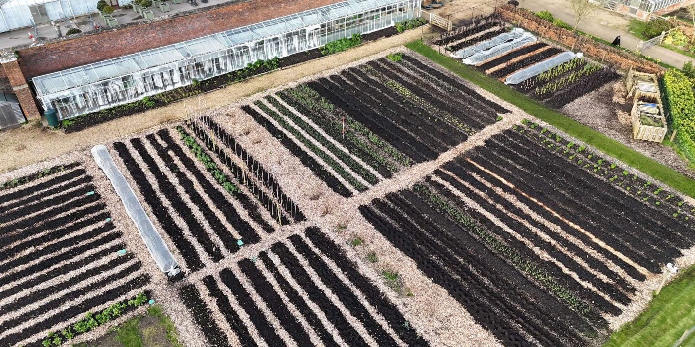 Walled Garden 