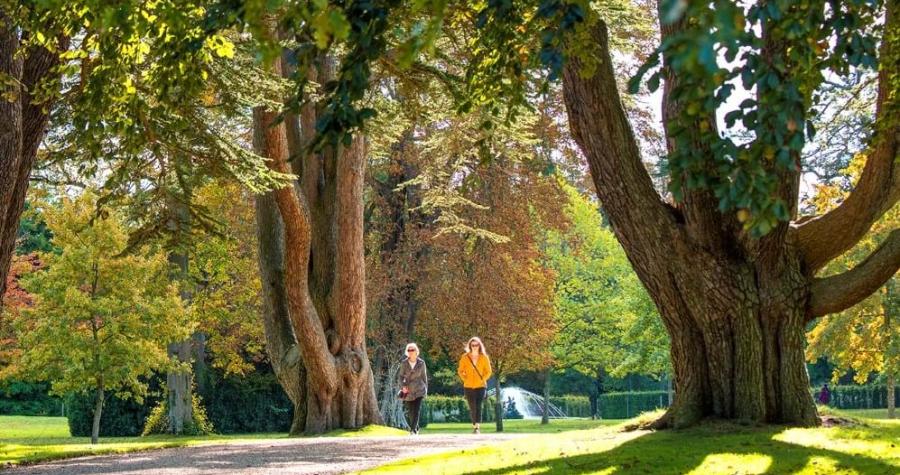 Arboretum