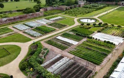 The Kitchen Garden