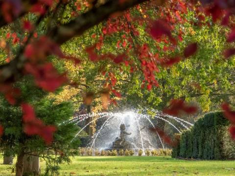 Buggy Tours of the Formal Garden