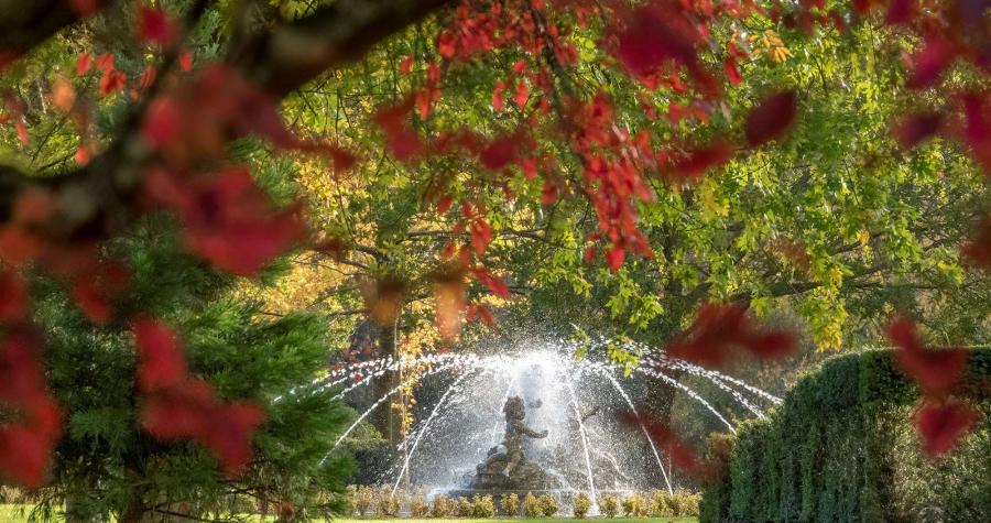 Buggy Tours of the Formal Garden