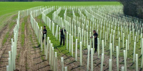 Commitment to Climate & Biodiversity