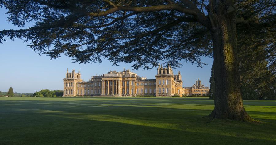 The South Lawn