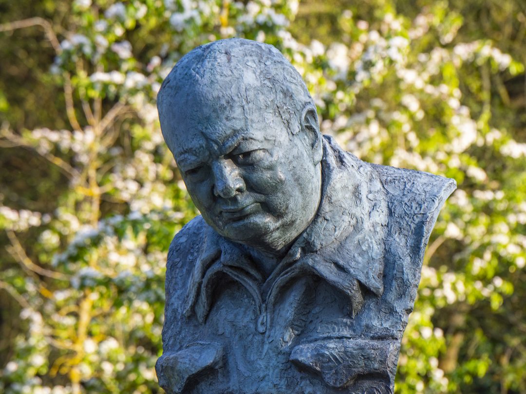 The bronze bust of Sir Winston Churchill among spring blossom