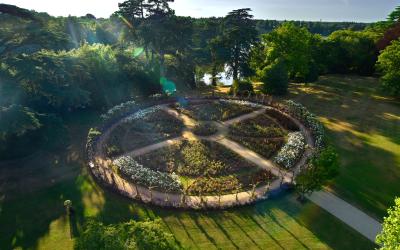 The Rose Garden