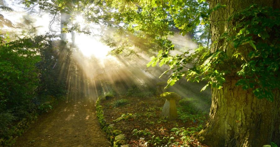 The Secret Garden