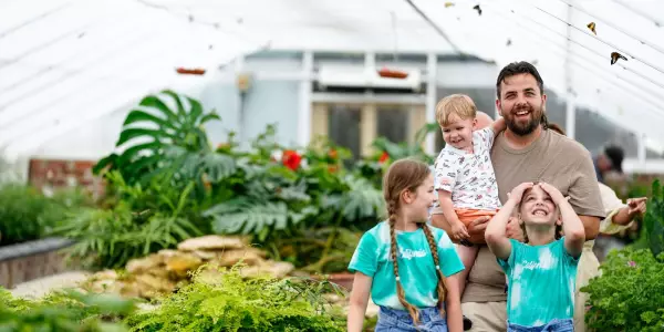 The Butterfly House