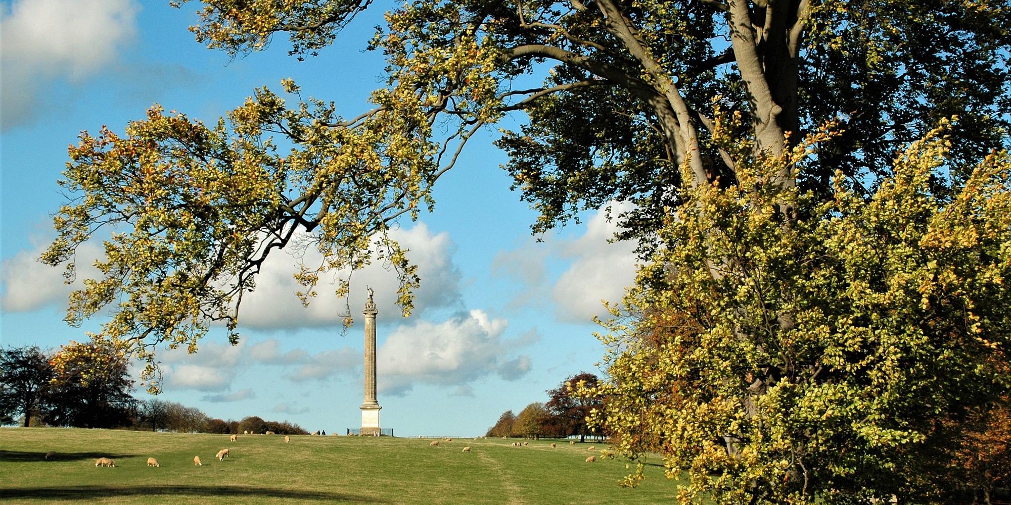The Column of Victory standing in the park, framed by autumn trees with sheep grazing below
