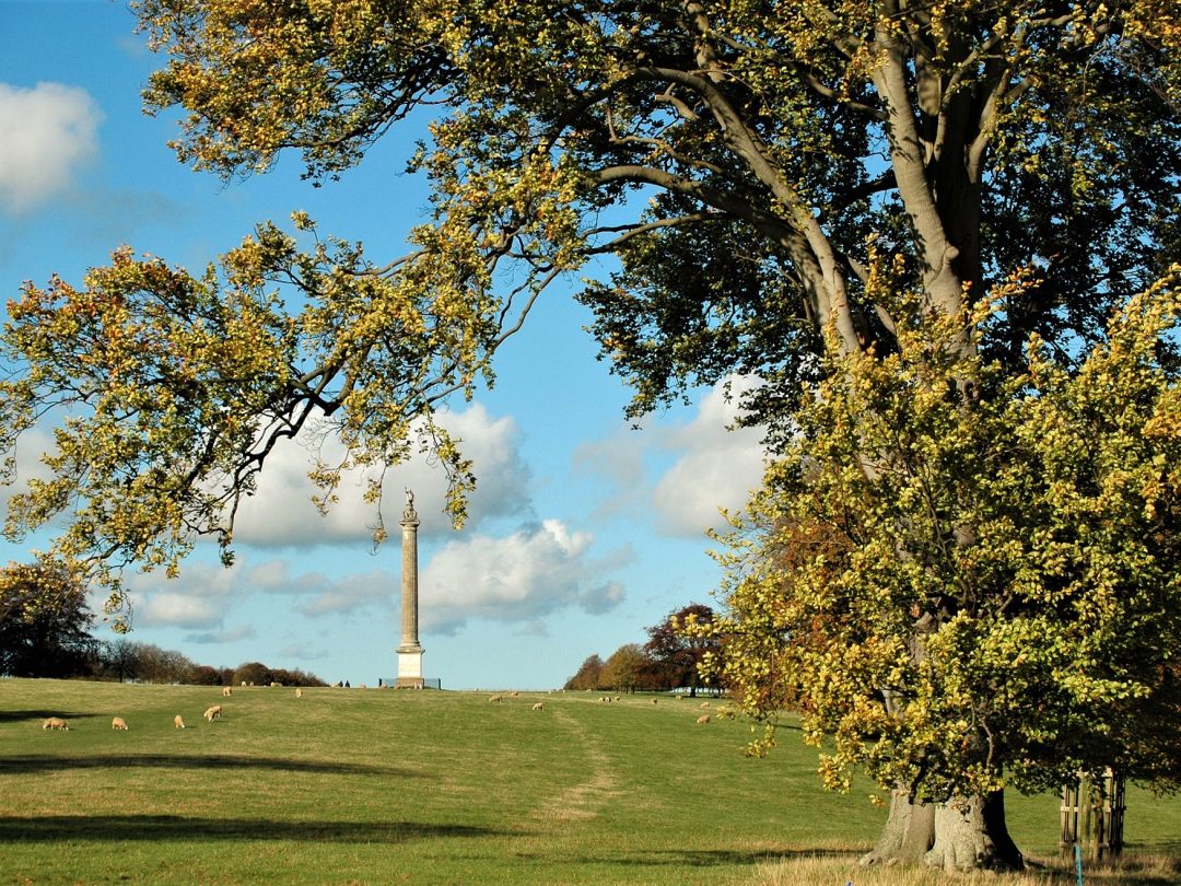 The Column of Victory standing in the park, framed by autumn trees with sheep grazing below