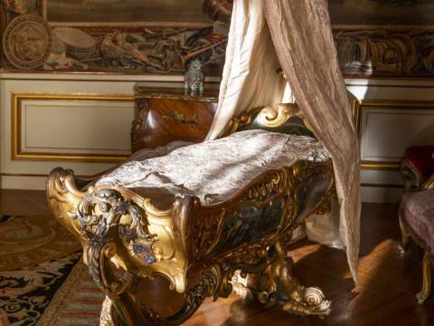 Meet the Collections Team