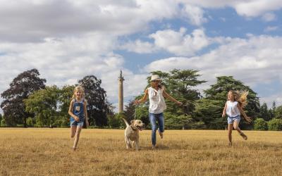 Dogs at Blenheim Palace