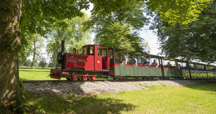 The Miniature Train