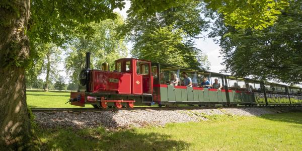 The Miniature Train