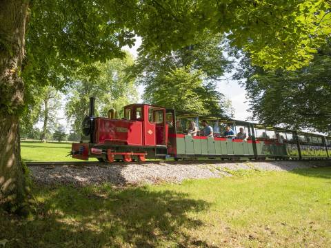 The Miniature Train