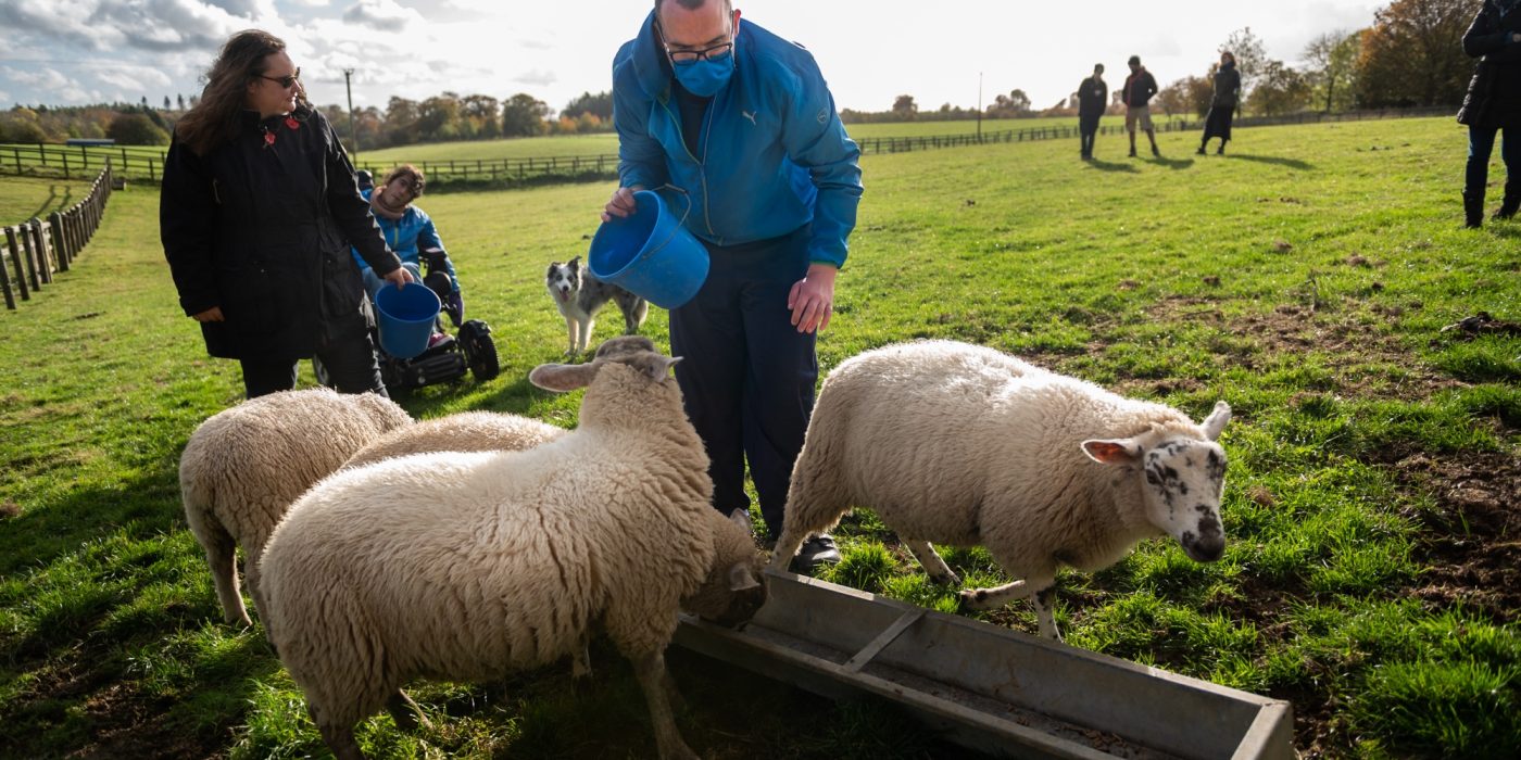 Co-farmers Hannah, Raf and Jamie feed some of Blenheim Estate’s orphaned lambs