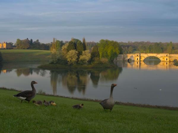 The Park