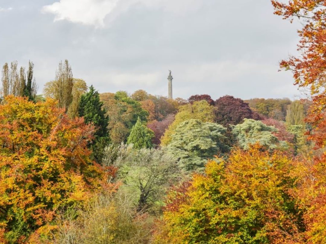 The Column of Victory rising above autumn treetops in the park