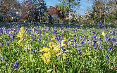 Caring For A Living Landscape