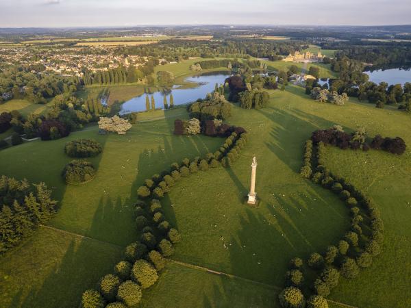 Five wellness walks around Blenheim Estate