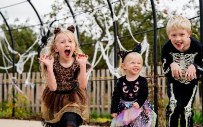Haunted Half Term