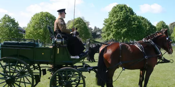 Horses in the Blenheim Palace Stables
