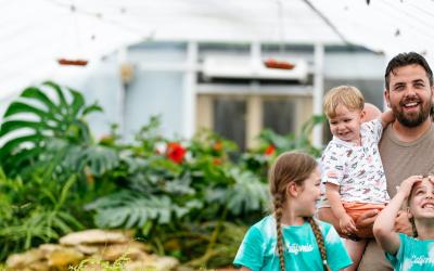 The Butterfly House