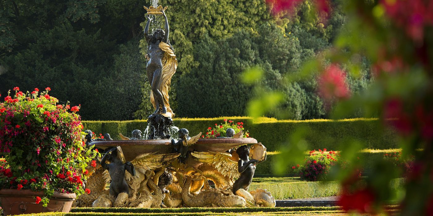 The gilded fountain at the centre of the Italian Garden, surrounded by clipped box scrollwork