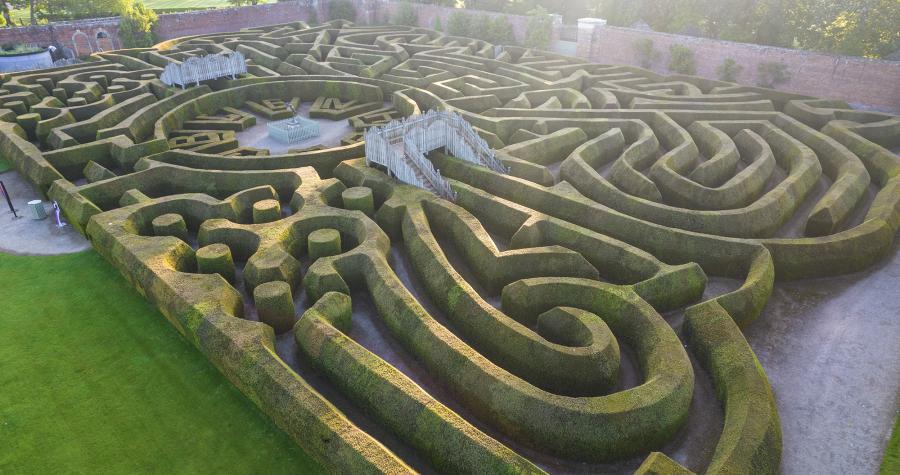 The Marlborough Maze