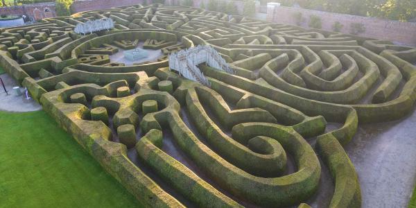 The Marlborough Maze