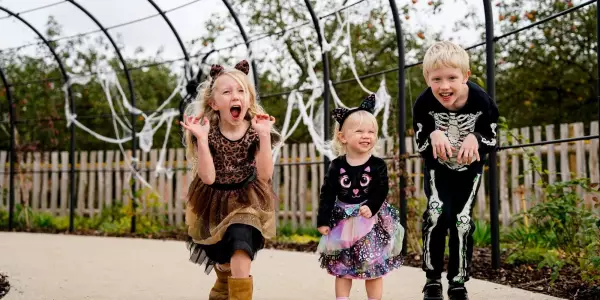 Haunted Half Term at Blenheim Palace