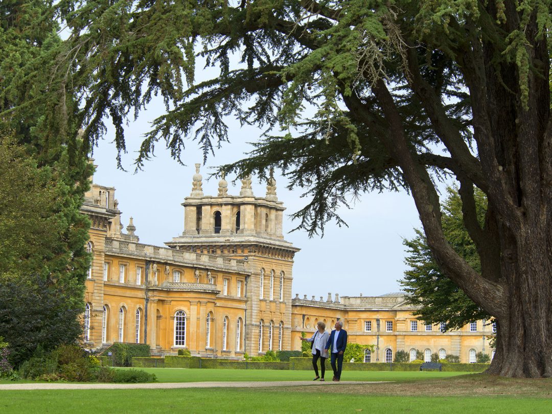 Visitors walking towards the Palace beneath a spreading cedar tree
