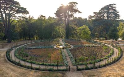 Restoring the Rosarium