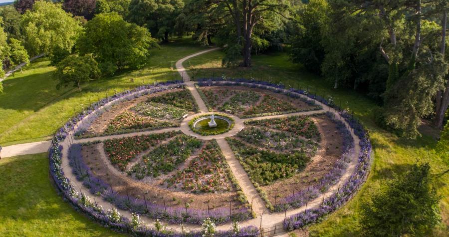 The Rose Garden