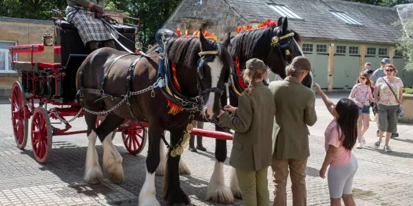 Horses at Blenheim Palace