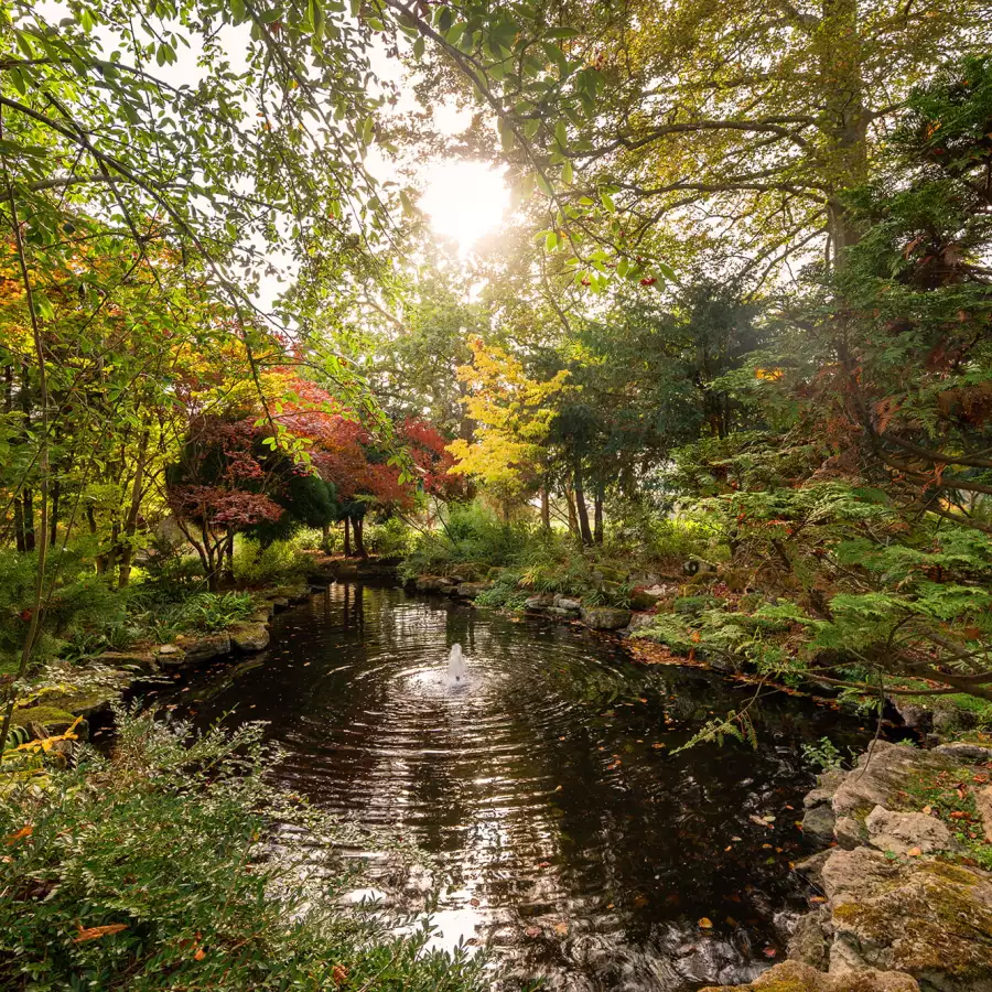 Autumn trees and mossy banks reflected in a still pond, with a small figure in red beyond