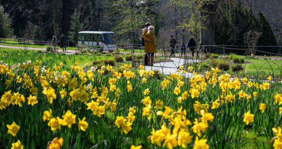 Buggy Tours of the Formal Garden