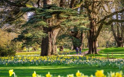 The Arboretum