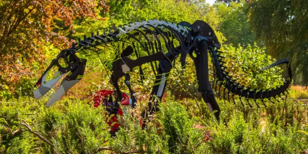Dinosaurs Are Forever