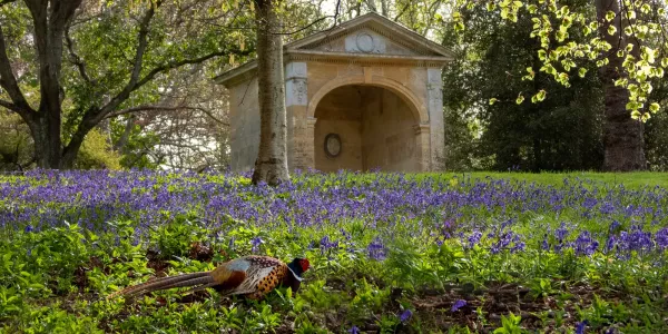 Caring For A Living Landscape