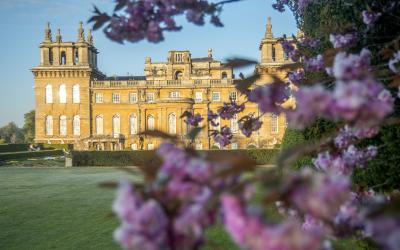 Discover Blenheimwith an Annual Pass