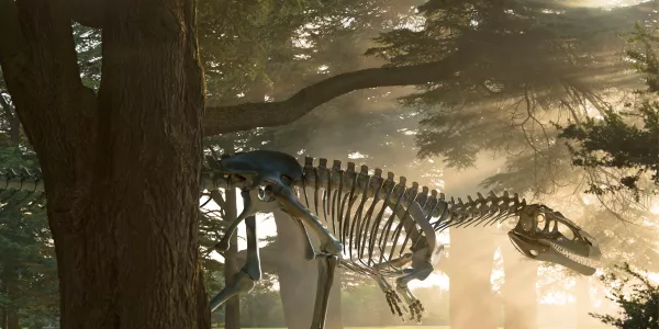 Dinosaurs Are Forever